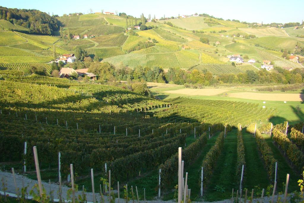 Farm Stay Jarc Vineyard Svecina Exteriör bild