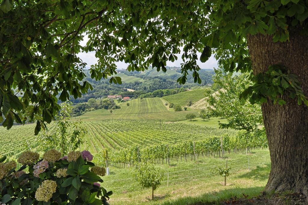 Farm Stay Jarc Vineyard Svecina Exteriör bild