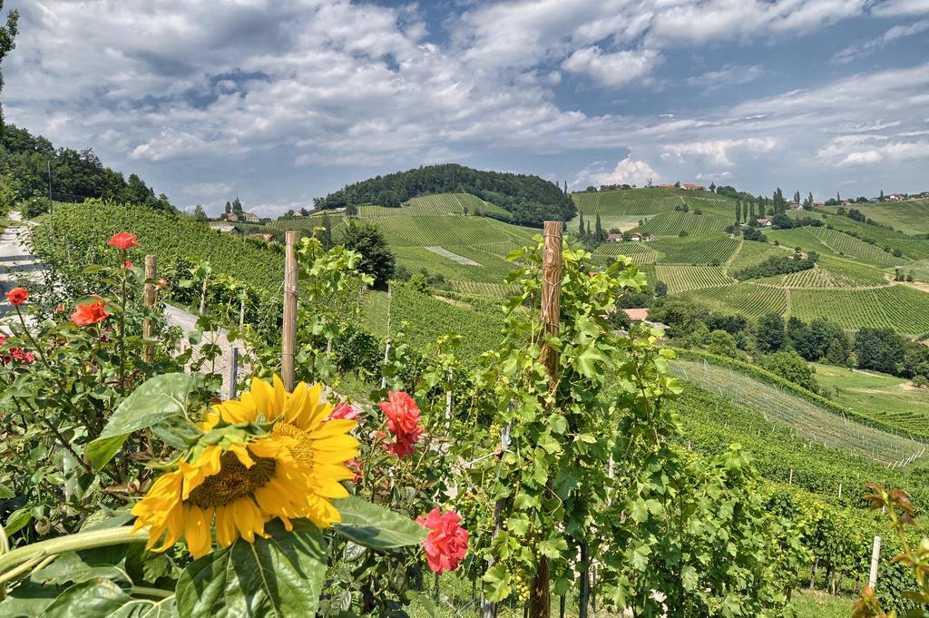 Farm Stay Jarc Vineyard Svecina Exteriör bild