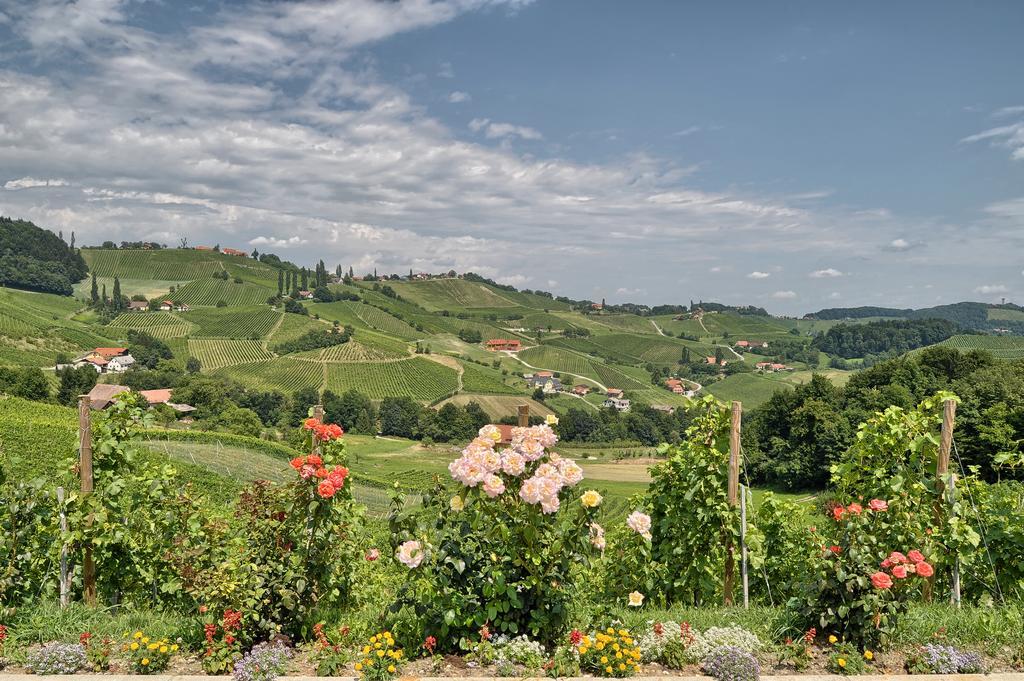 Farm Stay Jarc Vineyard Svecina Exteriör bild