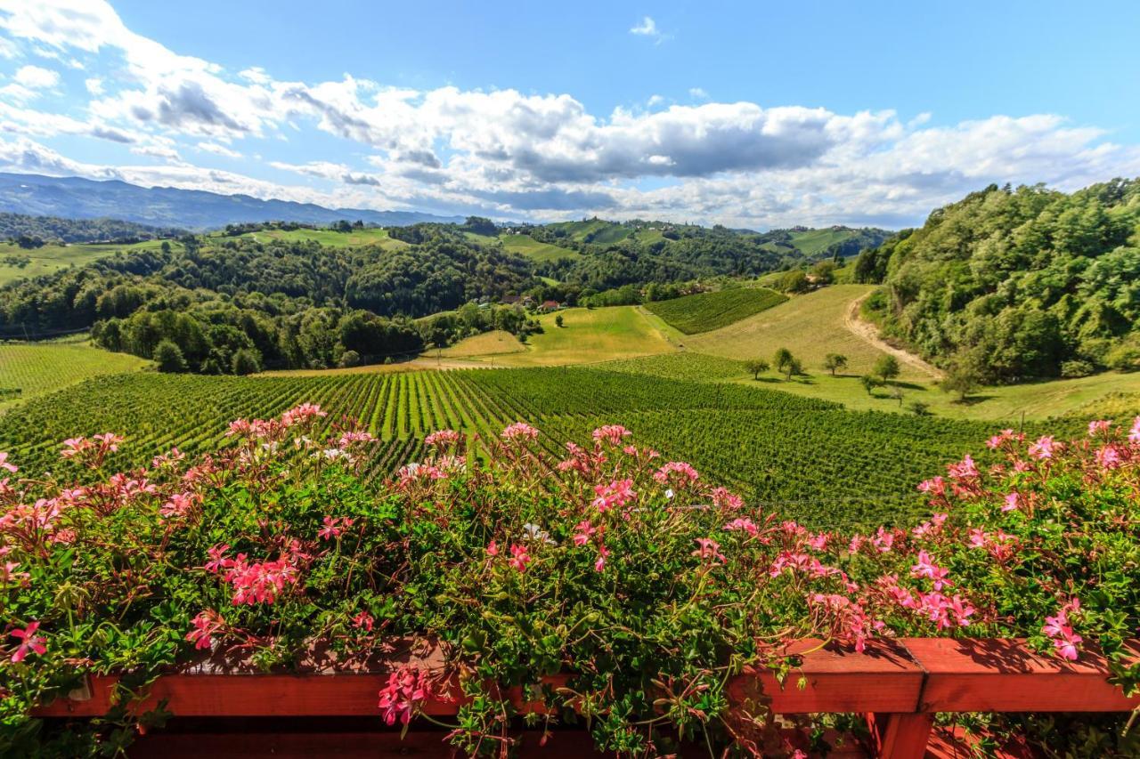 Farm Stay Jarc Vineyard Svecina Exteriör bild
