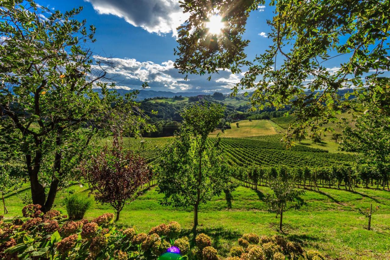 Farm Stay Jarc Vineyard Svecina Exteriör bild